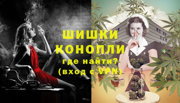 гашик Нефтекумск