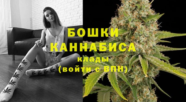 гашик Нефтекумск