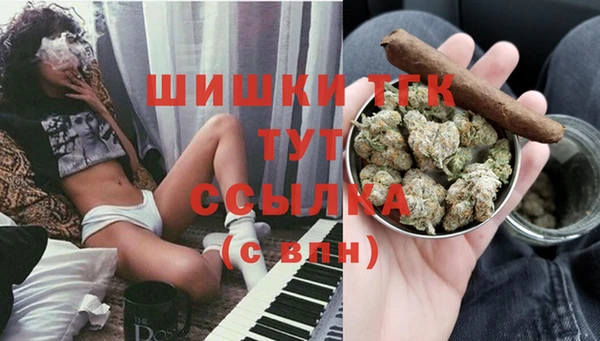 гашик Нефтекумск