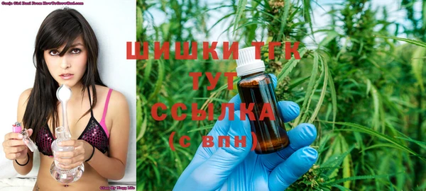 стаф Нефтегорск