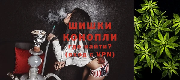 гашик Нефтекумск