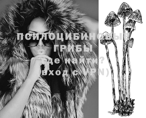 стаф Нефтегорск