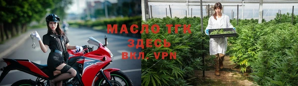 стаф Нефтегорск