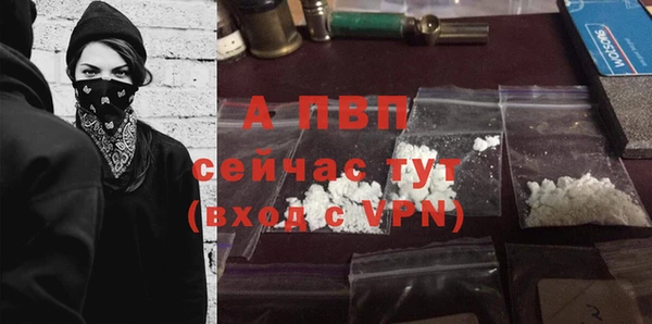 гашик Нефтекумск