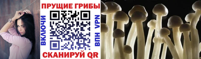 Галлюциногенные грибы GOLDEN TEACHER  Яхрома 